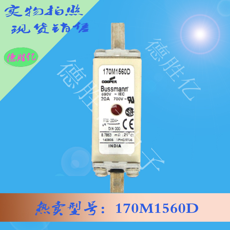 170M1560D.jpg 170M1560D.jpg