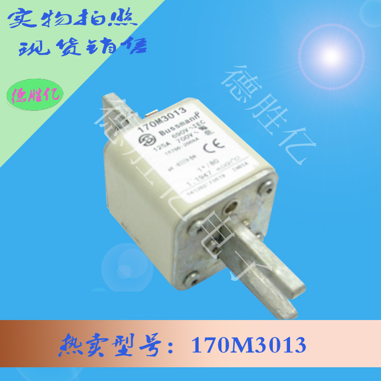 170M3013.jpg 170M3013.jpg