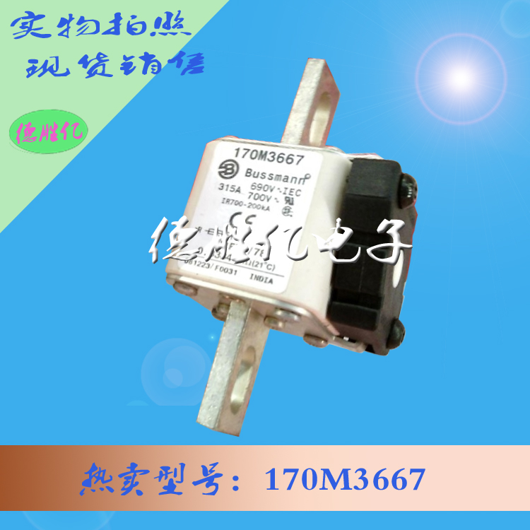 170M3667.jpg 170M3667.jpg