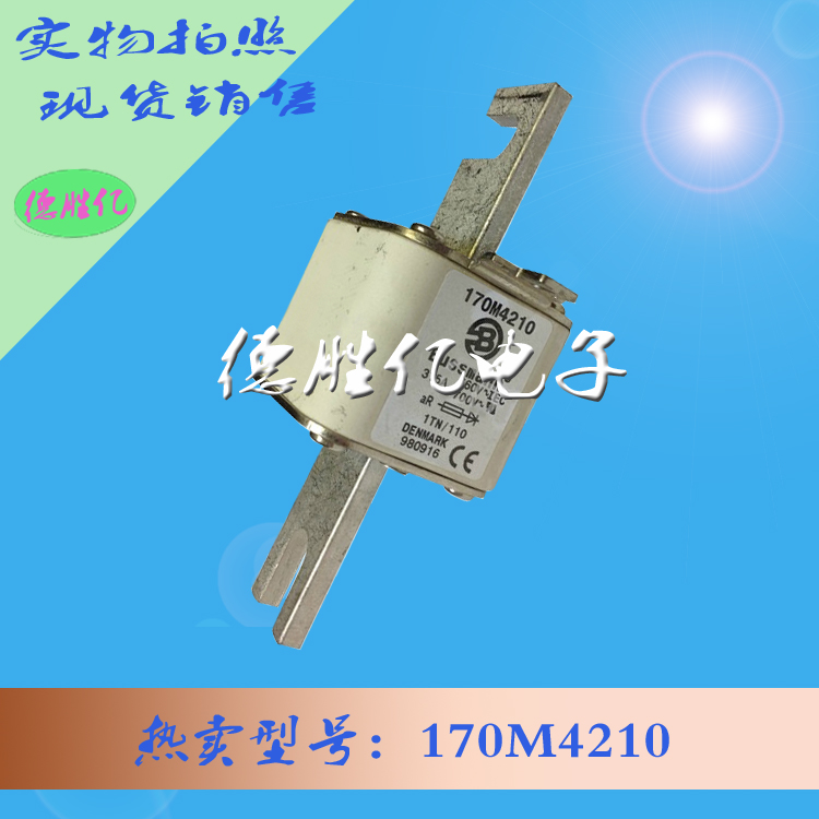 170M4210.jpg 170M4210.jpg