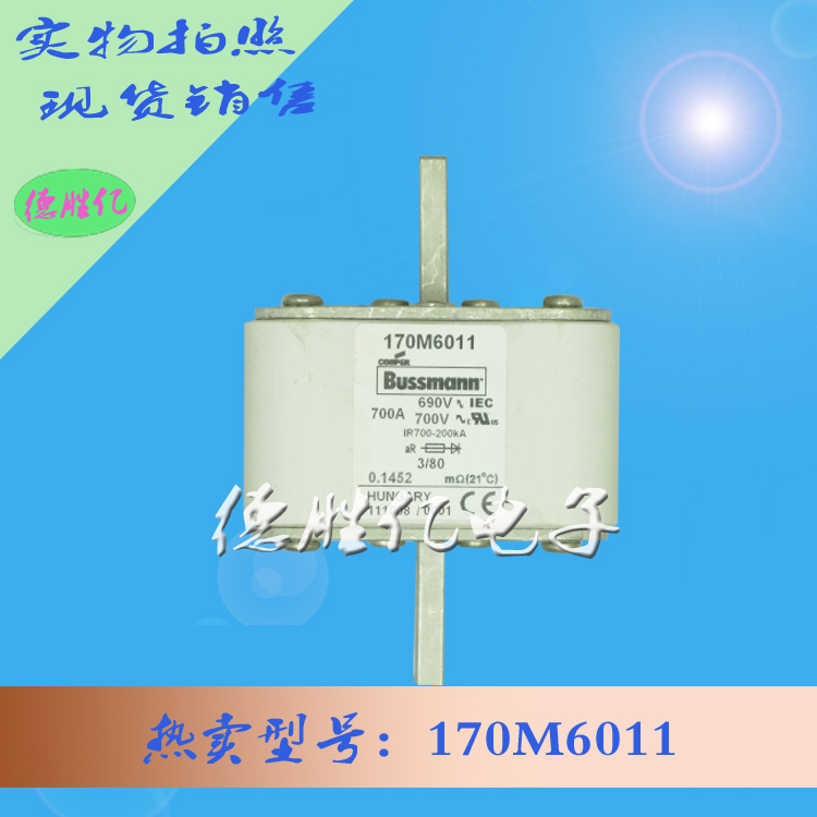 170M6011.jpg 170M6011.jpg