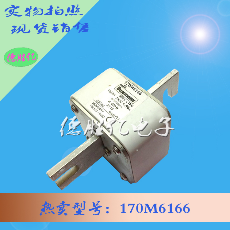 170M6166.jpg 170M6166.jpg