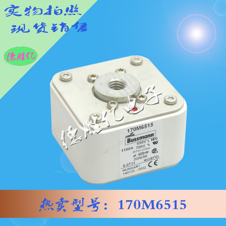 170M6515.jpg 170M6515.jpg